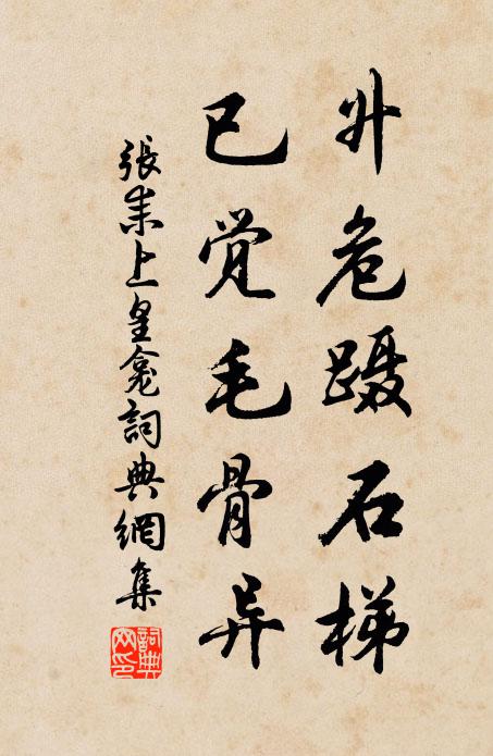 张耒升危蹑石梯，已觉毛骨异书法作品欣赏