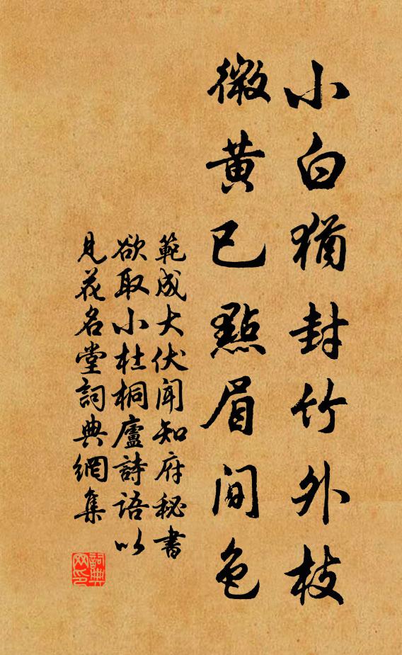 范成大小白犹封竹外枝，微黄已点眉间色书法作品欣赏