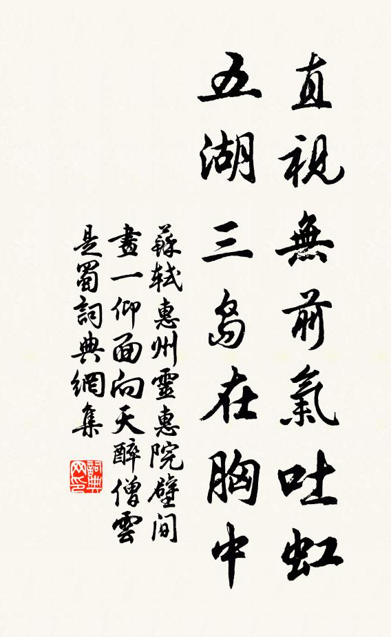 苏轼直视无前气吐虹，五湖三岛在胸中书法作品欣赏