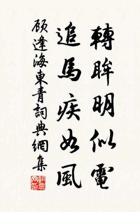 顾逢转眸明似电，追马疾如风书法作品欣赏