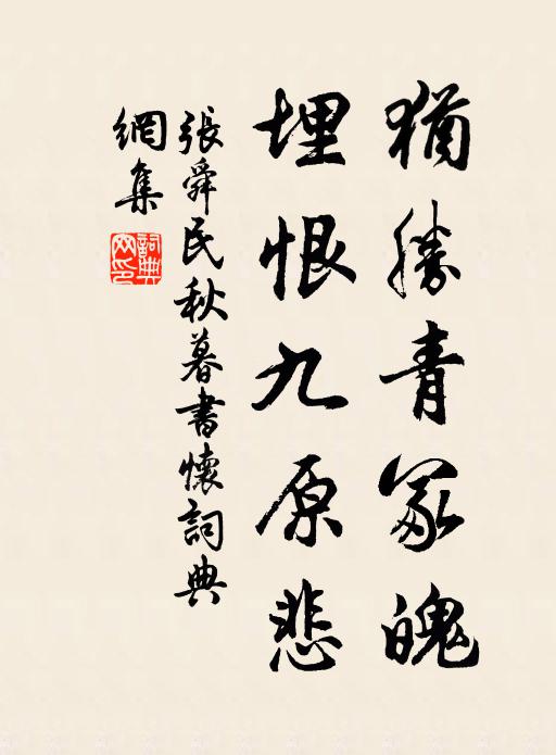 张舜民犹胜青冢魄，埋恨九原悲书法作品欣赏