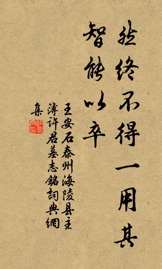 王安石然终不得一用其智能以卒书法作品欣赏