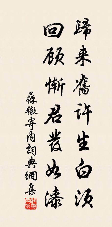 苏辙归来旧许生白须，回顾惭君发如漆书法作品欣赏