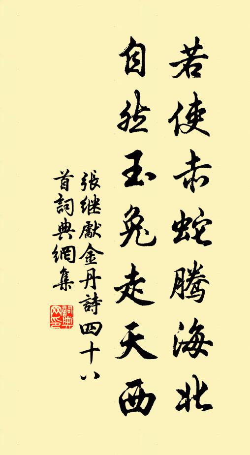 张继先若使赤蛇腾海北，自然玉兔走天西书法作品欣赏