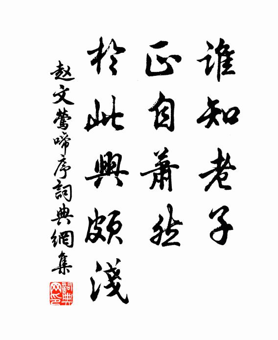 赵文谁知老子，正自萧然，於此兴颇浅书法作品欣赏