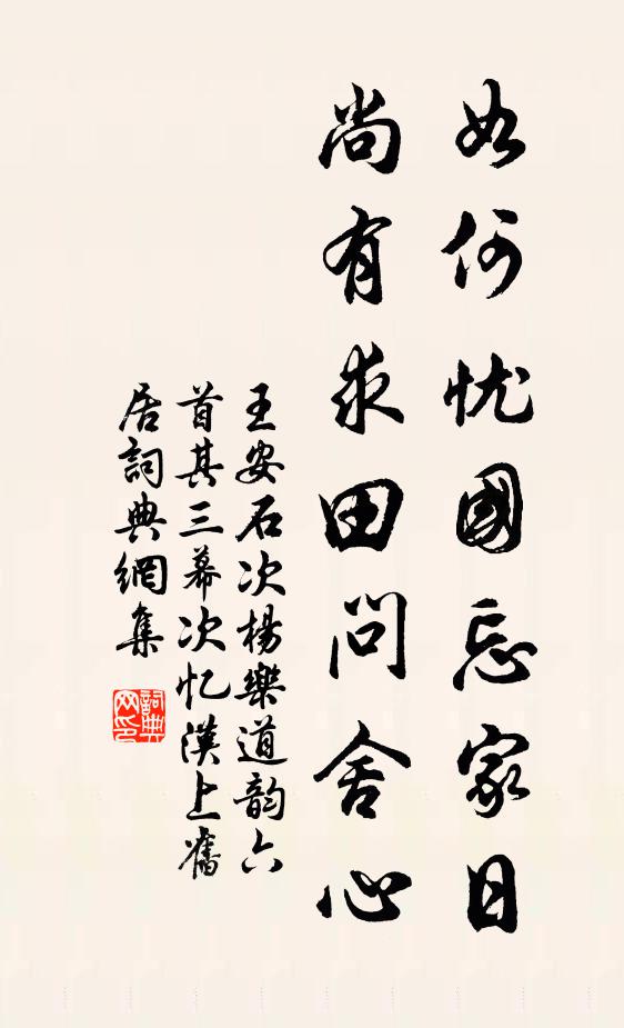 王安石如何忧国忘家日，尚有求田问舍心书法作品欣赏