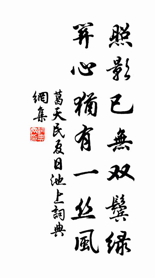葛天民照影已无双鬓绿，关心犹有一丝风书法作品欣赏