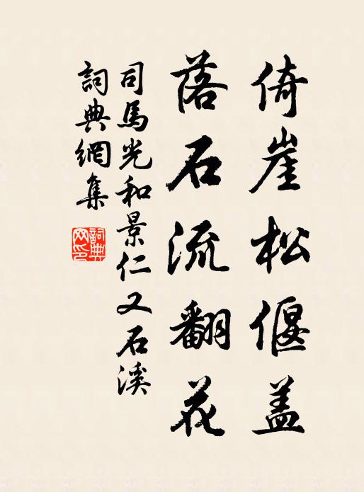 司马光倚崖松偃盖，落石流翻花书法作品欣赏