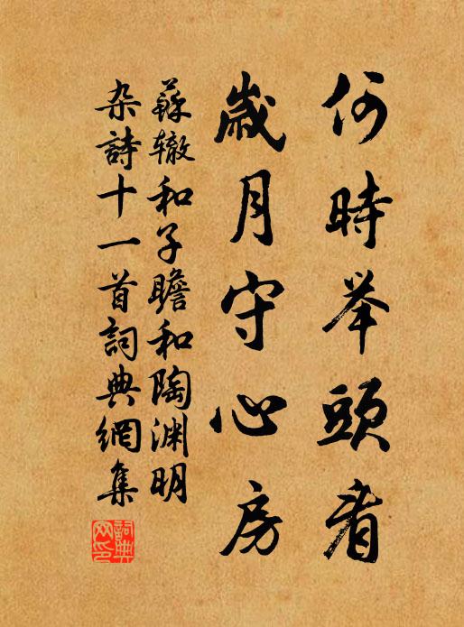 苏辙何时举头看，岁月守心房书法作品欣赏