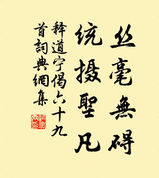 释道宁丝毫无碍，统摄圣凡书法作品欣赏