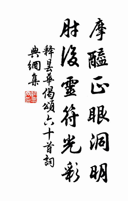 释昙华摩醯正眼洞明，肘后灵符光彩书法作品欣赏