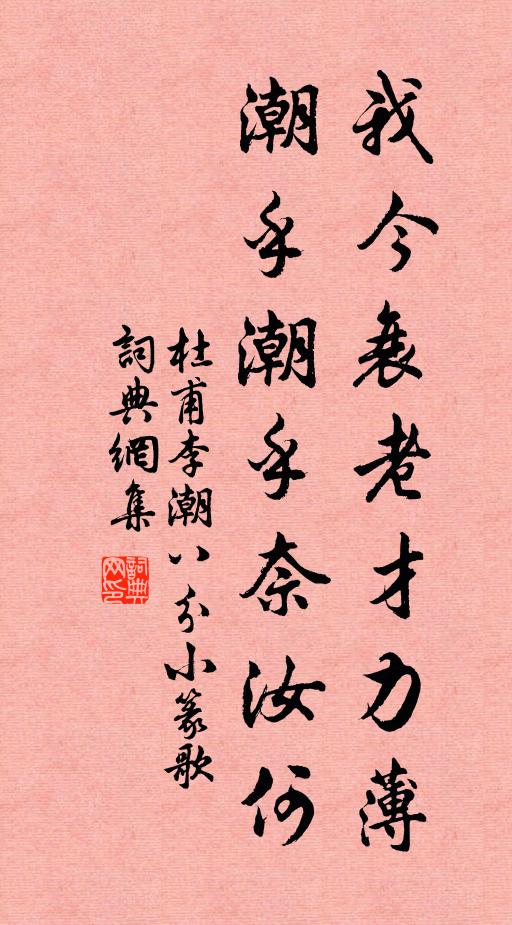 杜甫我今衰老才力薄，潮乎潮乎奈汝何书法作品欣赏