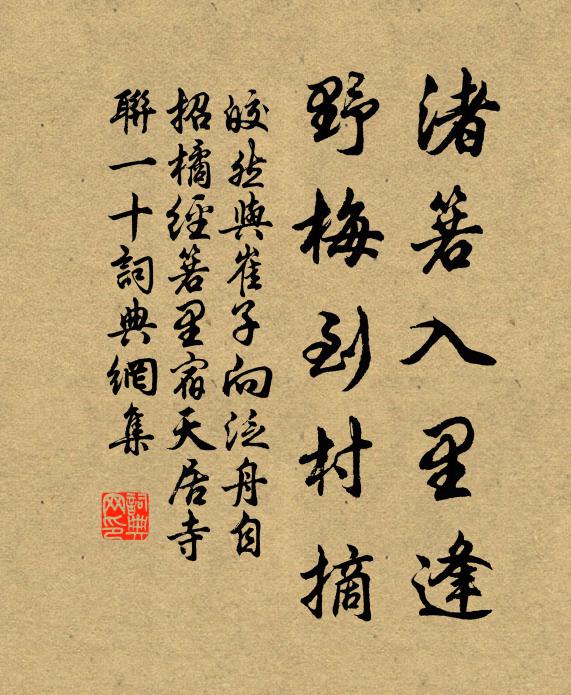 皎然渚箬入里逢，野梅到村摘书法作品欣赏
