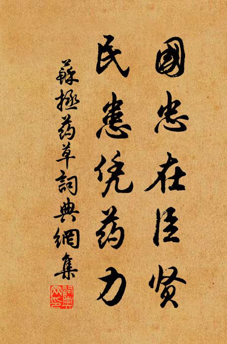 苏拯国忠在臣贤，民患凭药力书法作品欣赏