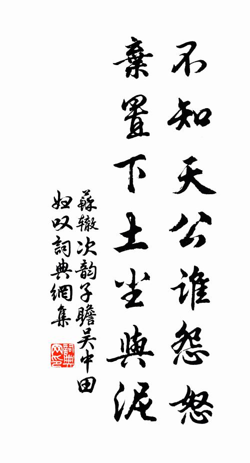 苏辙不知天公谁怨怒，弃置下土尘与泥书法作品欣赏