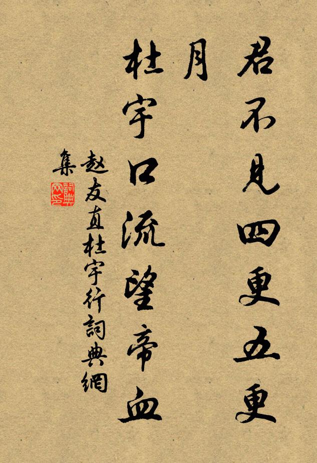 赵友直君不见四更五更月，杜宇口流望帝血书法作品欣赏