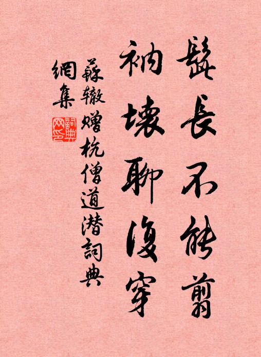 苏辙髭长不能翦，衲坏聊复穿书法作品欣赏