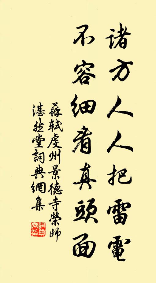 苏轼诸方人人把雷电，不容细看真头面书法作品欣赏