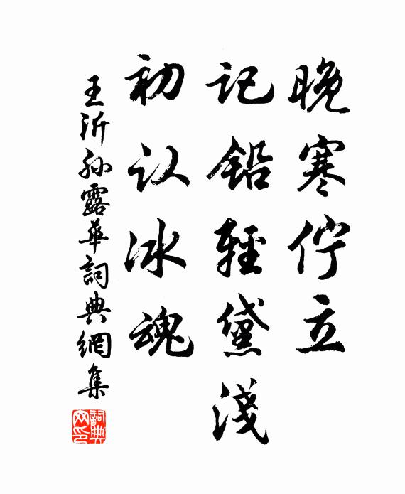 王沂孙晚寒伫立，记铅轻黛浅，初认冰魂书法作品欣赏