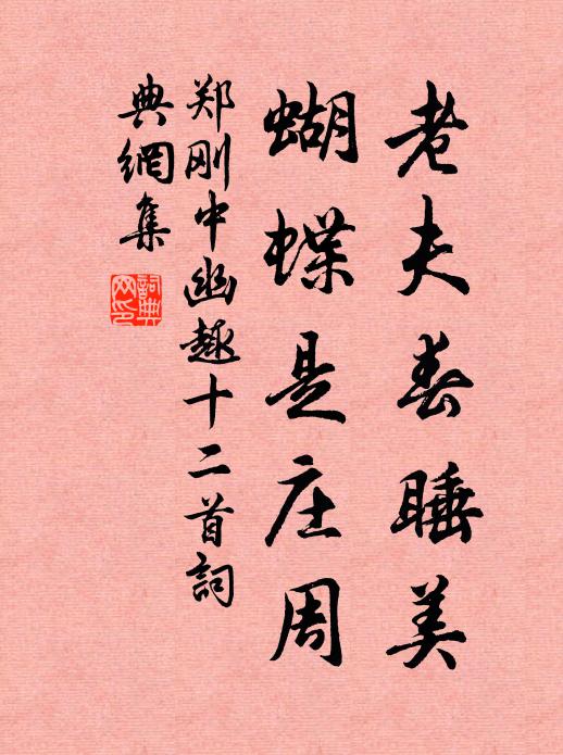 郑刚中老夫春睡美，蝴蝶是庄周书法作品欣赏