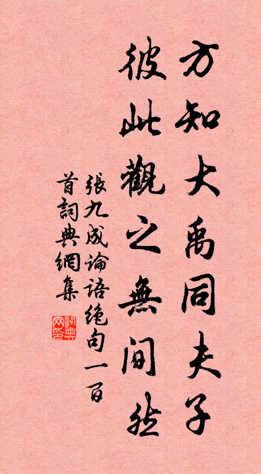张九成方知大禹同夫子，彼此观之无间然书法作品欣赏