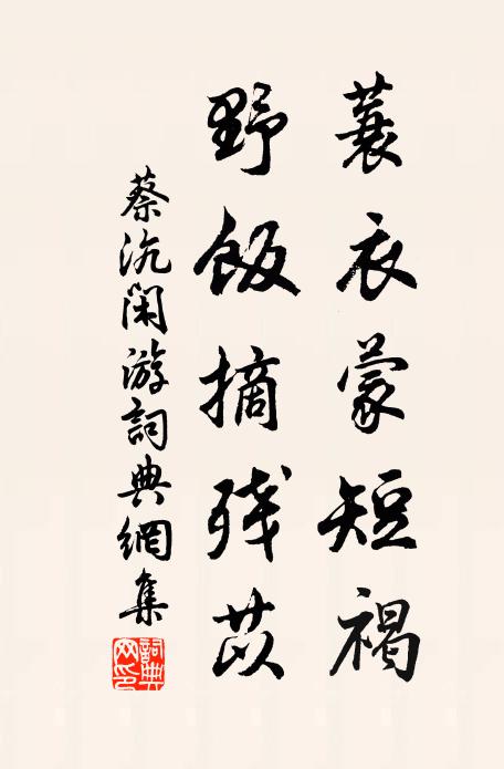 蔡沆蓑衣蒙短褐，野饭摘残苡书法作品欣赏