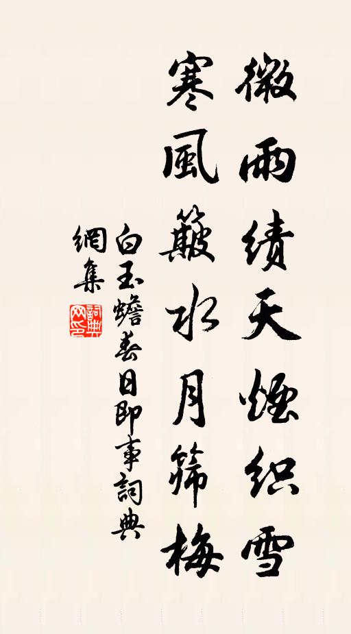 白玉蟾微雨绩天烟织雪，寒风簸水月筛梅书法作品欣赏