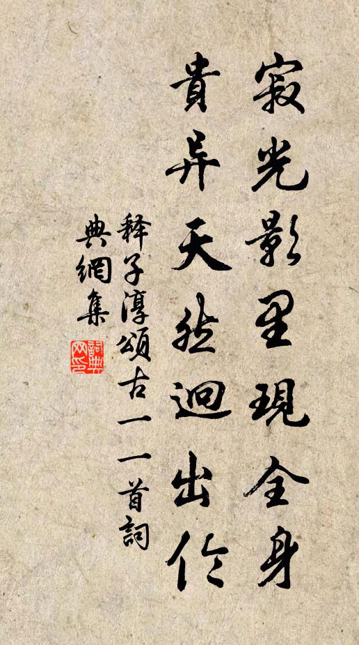 释子淳寂光影里现全身，贵异天然迥出伦书法作品欣赏