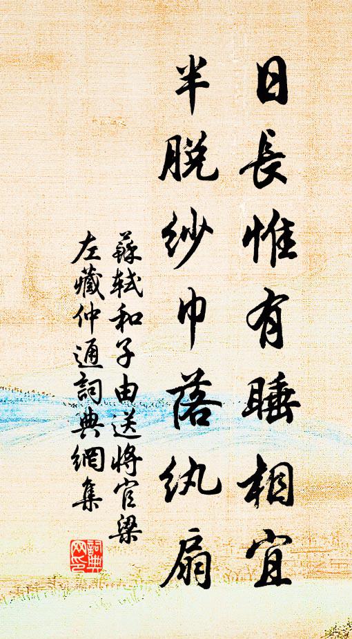 苏轼日长惟有睡相宜,半脱纱巾落纨扇书法作品欣赏