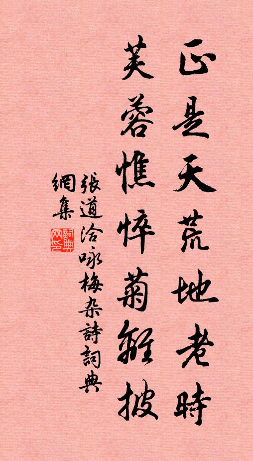 张道洽正是天荒地老时，芙蓉憔悴菊离披书法作品欣赏