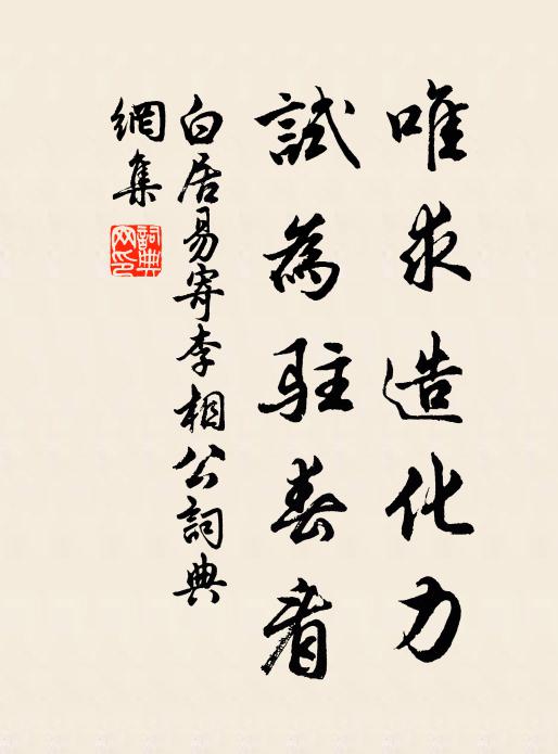 白居易唯求造化力，试为驻春看书法作品欣赏