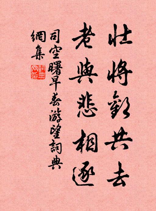 司空曙壮将欢共去，老与悲相逐书法作品欣赏
