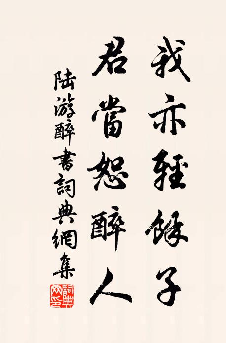 陆游我亦轻余子，君当恕醉人书法作品欣赏