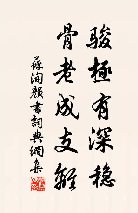 苏洵骏极有深稳,骨老成支离书法作品欣赏