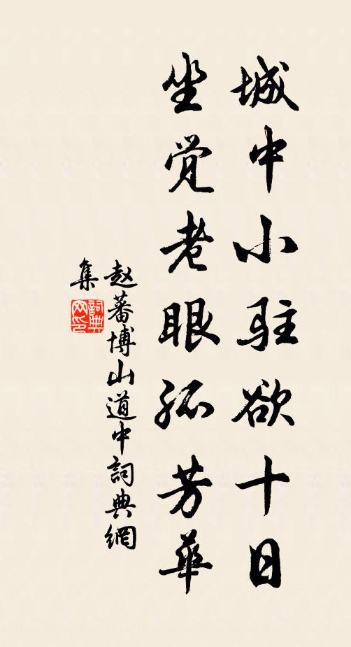 赵蕃城中小驻欲十日，坐觉老眼孤芳华书法作品欣赏