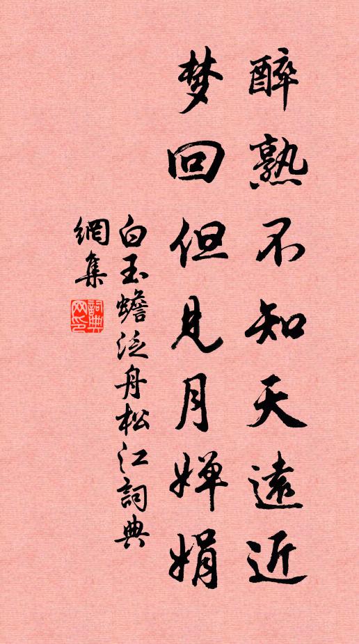 白玉蟾醉熟不知天远近，梦回但见月婵娟书法作品欣赏
