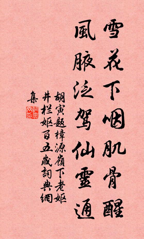 胡寅雪花下咽肌骨醒，风腋泛驾仙灵通书法作品欣赏