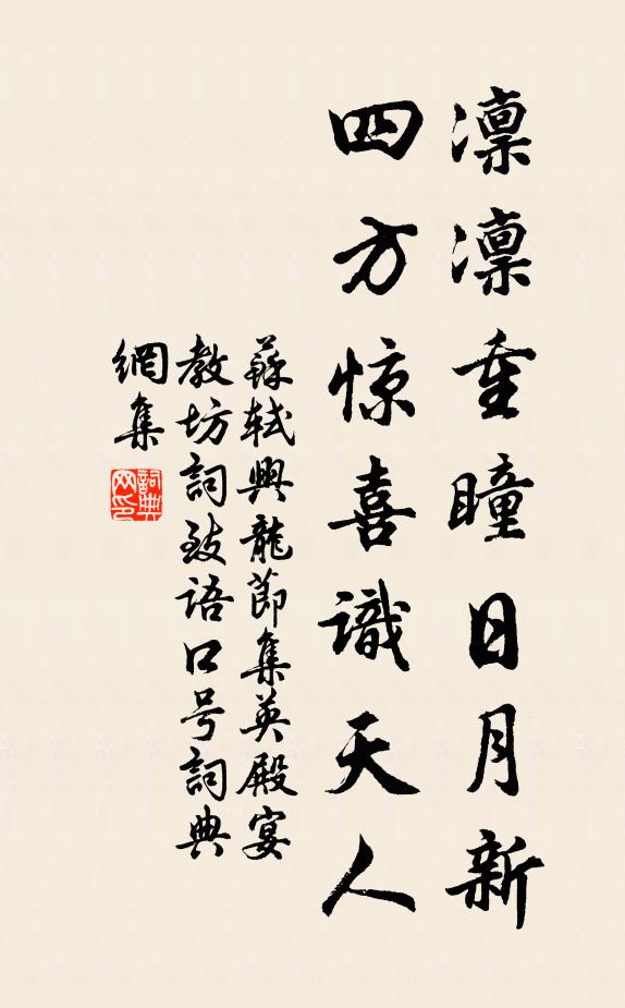 苏轼凛凛重瞳日月新，四方惊喜识天人书法作品欣赏