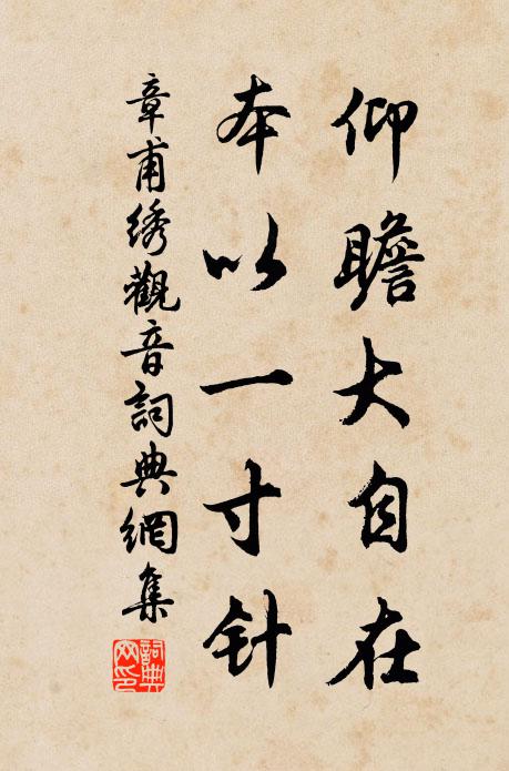 章甫仰瞻大自在，本以一寸针书法作品欣赏