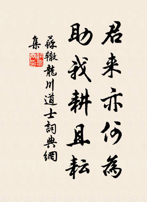 苏辙君来亦何为，助我耕且耘书法作品欣赏
