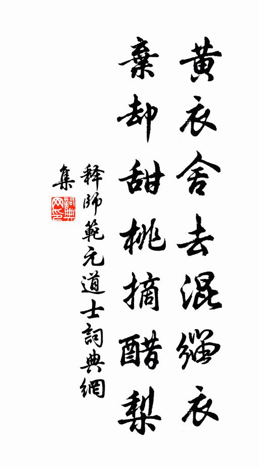 释师范黄衣舍去混缁衣，弃却甜桃摘醋梨书法作品欣赏