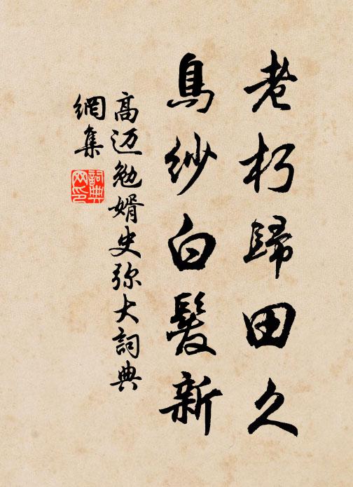 高迈老朽归田久，鸟纱白发新书法作品欣赏