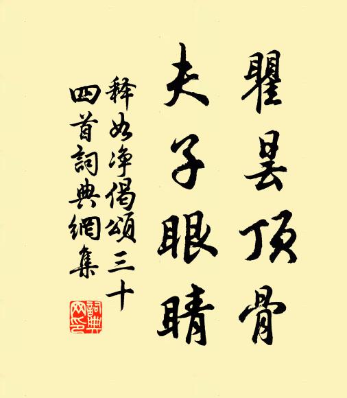 释如净瞿昙顶骨，夫子眼睛书法作品欣赏