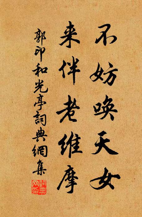 郭印不妨唤天女，来伴老维摩书法作品欣赏