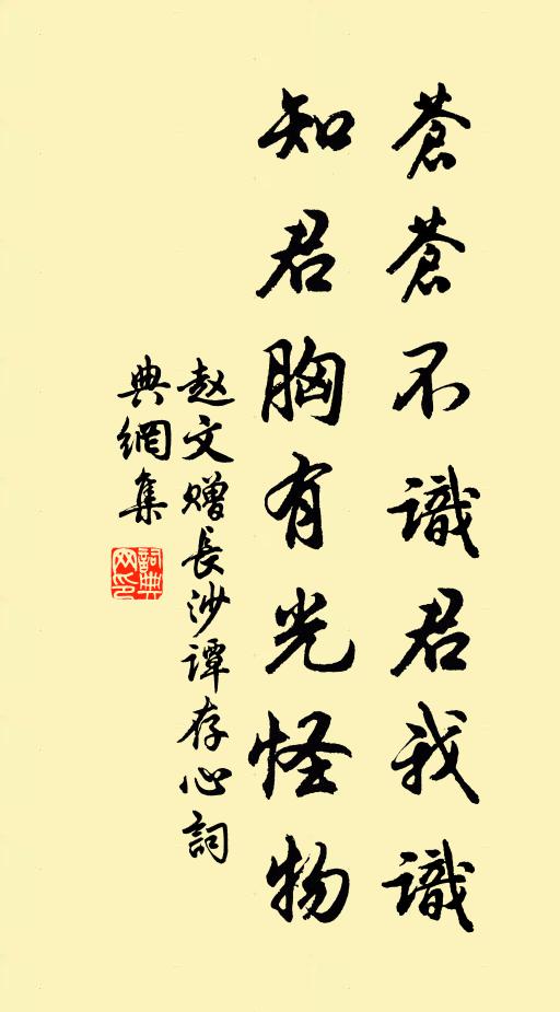 赵文苍苍不识君我识，知君胸有光怪物书法作品欣赏