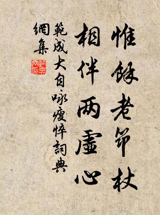 范成大惟余老筇杖，相伴两虚心书法作品欣赏