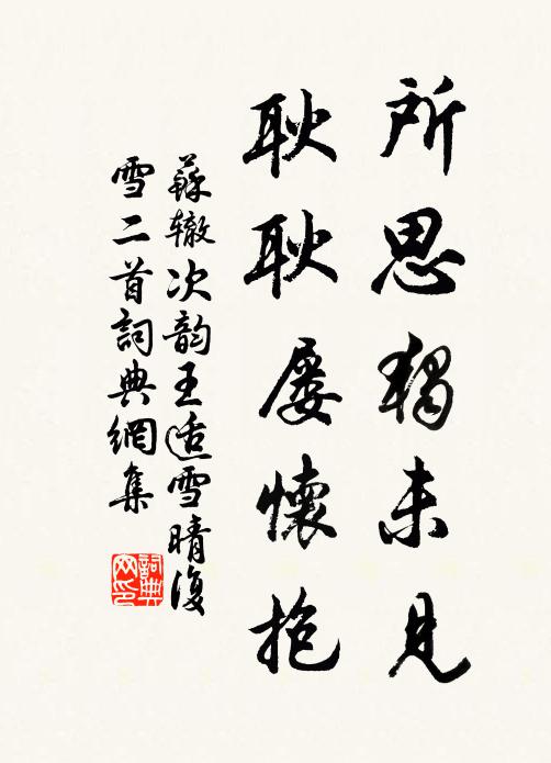 苏辙所思独未见，耿耿屡怀抱书法作品欣赏