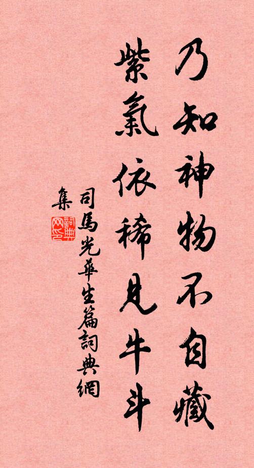司马光乃知神物不自藏，紫气依稀见牛斗书法作品欣赏