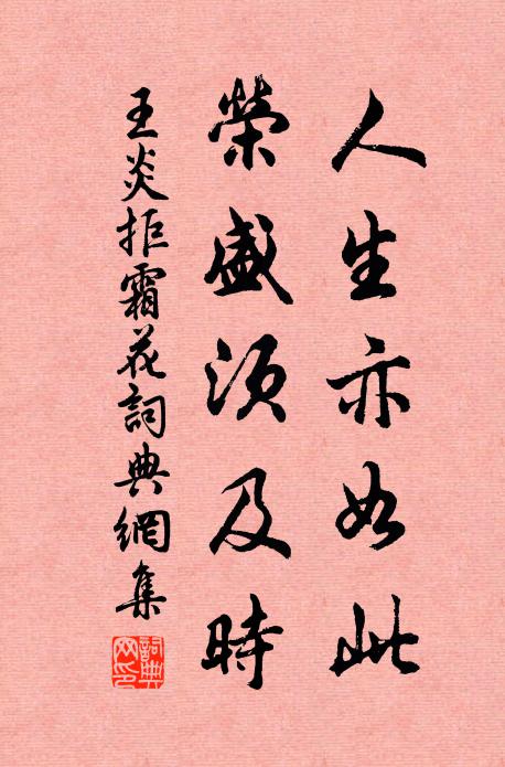 王炎人生亦如此，荣盛须及时书法作品欣赏