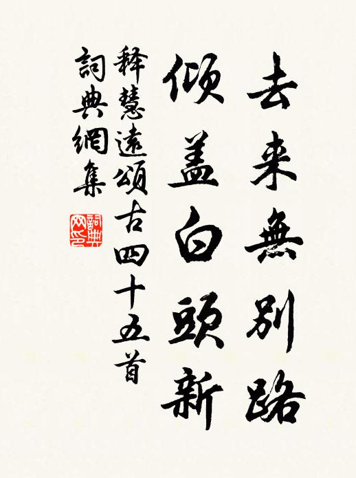 释慧远去来无别路，倾盖白头新书法作品欣赏